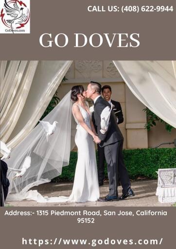 Best Dove Release Service in San Jose | Go Doves