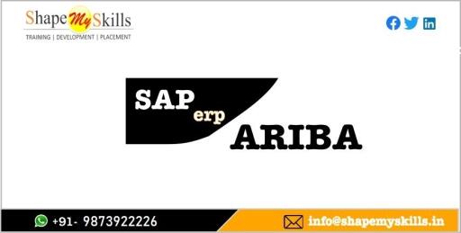 SAP Ariba Training In Delhi with Certification