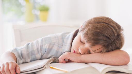 ad.Getty boy sleeping on books tired LARGE Daniel Grill 56a13ebe5f9b58b7d0bd6047