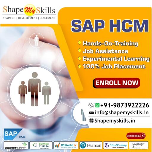 Best SAP HCM Training in Noida