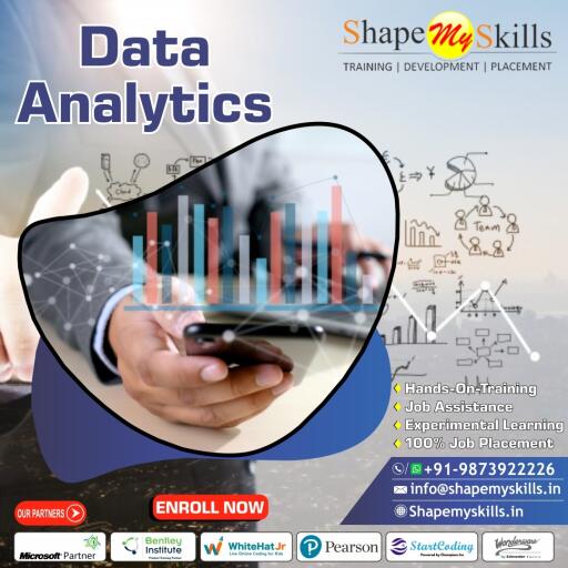 Data Analytics Online Training with Certification