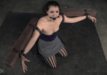 bdsmlr 890414 cc3f62ji4t