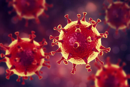 Coronavirus Single Particle Cryo-EM