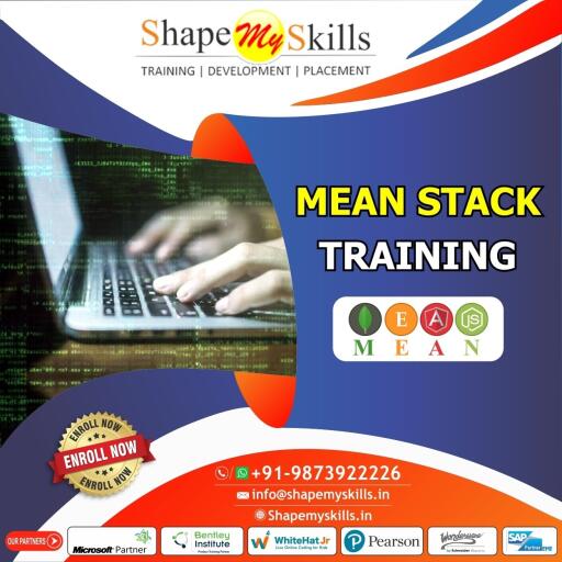 Best Mean Stack Training Institute in Delhi