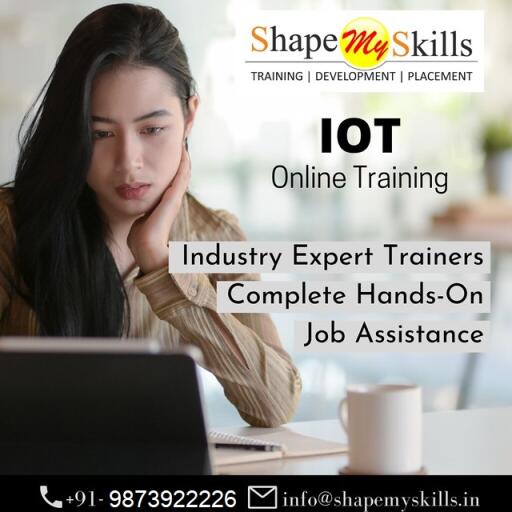 IOT Online Training in Noida