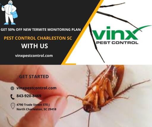 GET 50% OFF NEW TERMITE mONITORING PLAN!!!