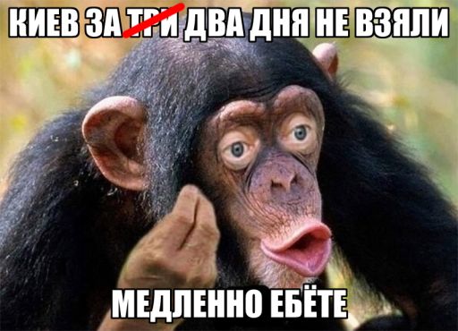 Скакол ципсошник обезьяна медленно ебёте Киев за два дня