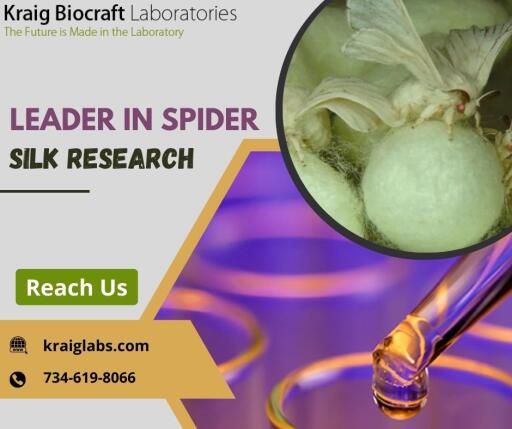 Leader In Spider Silk Research