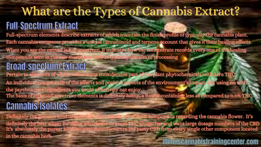 What are the Types of Cannabis Extract