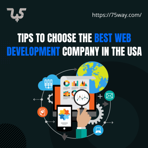 Tips to Choose The BEST Web Development Company in the USA 1