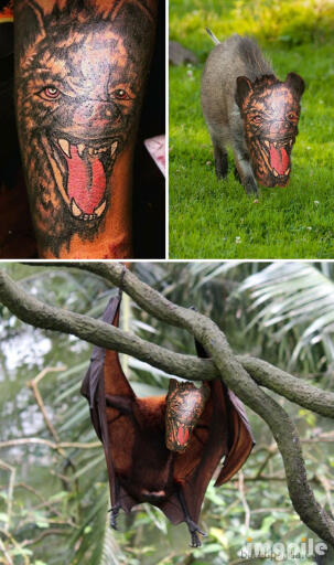 funny tattoo fails face swaps 49 5b30da3acd098 700 62b586b51d69c 700