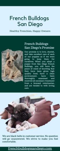 French Bulldogs Puppies for Sale in San Diego