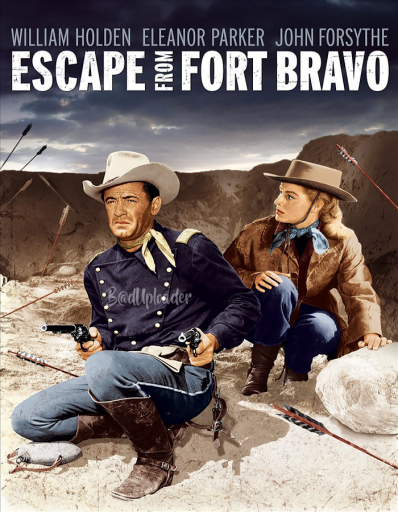 cover Escape from Fort Bravo (1953) H264