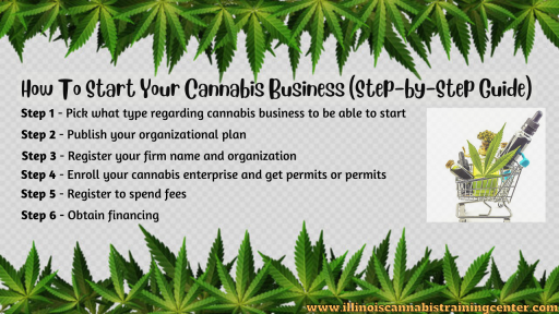 How To Start Your Cannabis Business (Step by Step Guide)