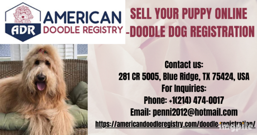 SELL YOUR PUPPY ONLINE DOODLE DOG REGISTRATION