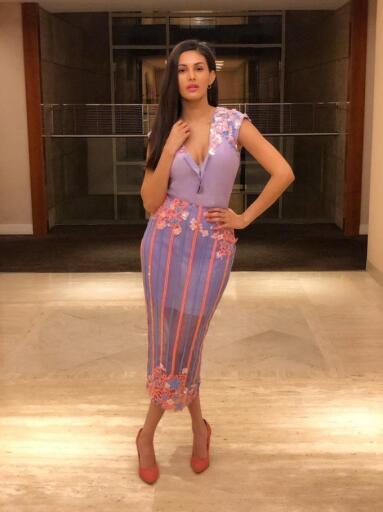 Tamil hot Actress Amyra Dastur Latest Photos in transparent violet dress 1