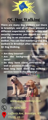 QC Dog Walking Services - Best Dog Walkers in Brooklyn