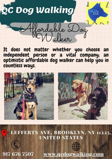 Hire Best And Affordable Dog Walker In Brooklyn - QC Dog Walking