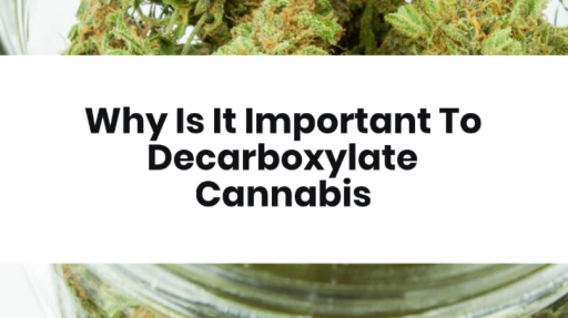 Why It Is Important To Decarboxylate Cannabis Thumbnail