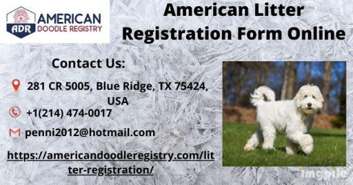 American Litter Registration Form Online