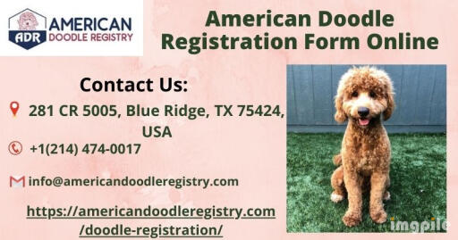 American Doodle Registration Form Online