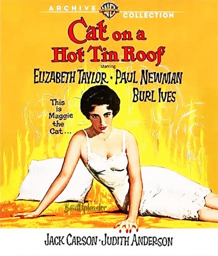cover Cat on a Hot Tin Roof (1958) H265