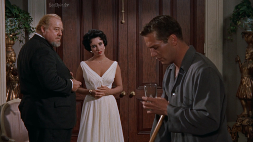 Cat on a Hot Tin Roof (1958) 3 AVC