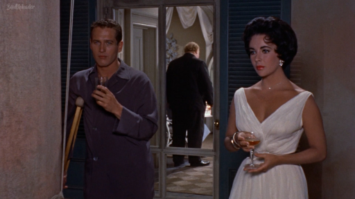 Cat on a Hot Tin Roof (1958) 4 AVC