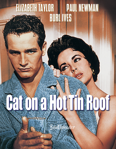 cover Cat on a Hot Tin Roof (1958) H264