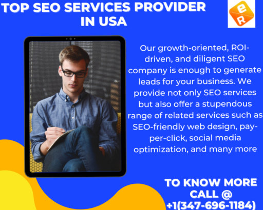 Best Seo Service Provider Easy Ranking By SEO