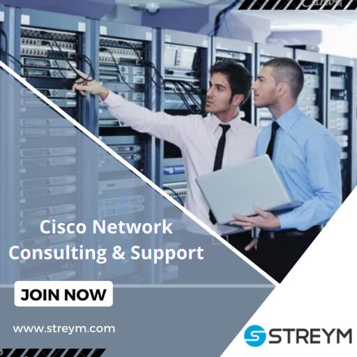 Cisco Network Consulting & Support