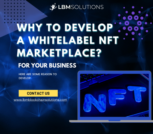 Why should you Develop a White Label NFT Marketplace?