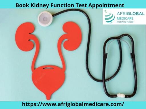 Kidney Function Test in Nigeria