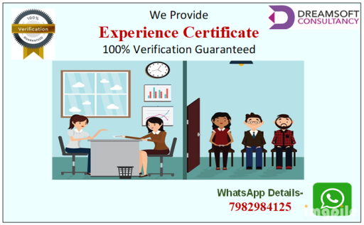 Experience certificate 11.06.2022