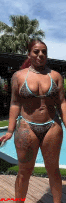 RtSRP4.gif