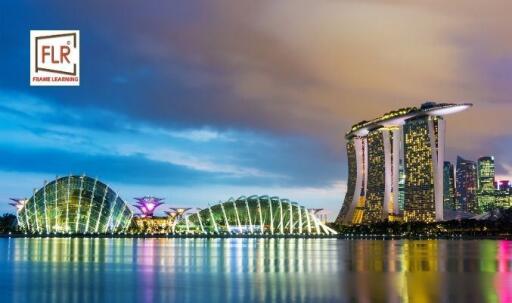Frame Learning: Reliable Study Abroad Consultants for Singapore