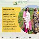 Organic masala Suppliers in Mumbai