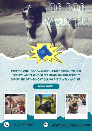 Hire Professional Dog Walking Service In Brooklyn - QC Dog Walking