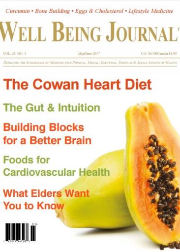 Well Being Journal May June 2017 (1)