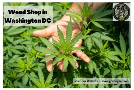 For Healthy life Weed Shop Washington in DC | Granny za