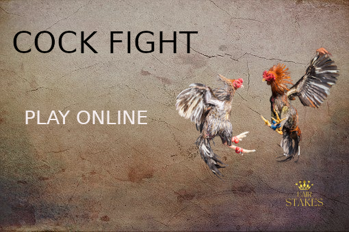 Beat & Treat Cock Fight in the street
