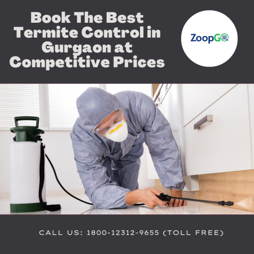 Book the best termite control in Gurgaon at competitive prices