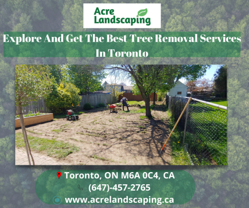 Explore And Get The Best Tree Removal Services In Toronto