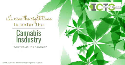 Is Now the Right Time to Enter the Cannabis Industry