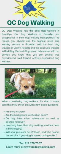 Best Dog Walkers In Brooklyn At Reasonable Prices - QC Dog Walking