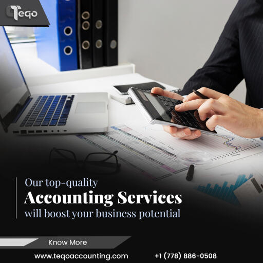 Teqo Solutions Offers Full Accounting Services In Canada