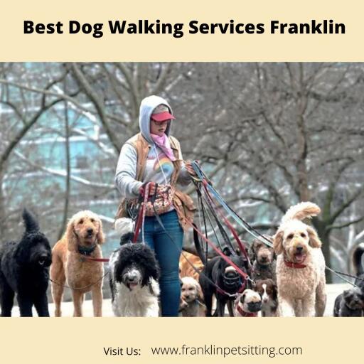 Best Dog Walking Services Franklin