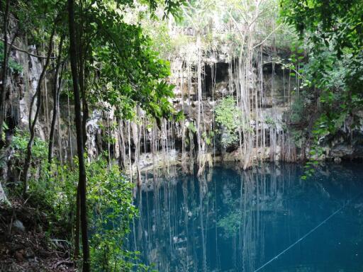 Tulum Coba Cenote Tour