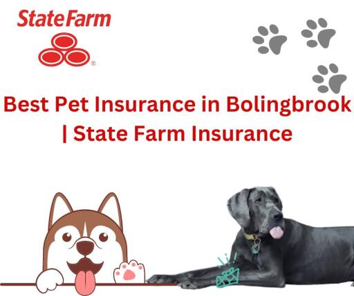 Best Pet Insurance in Bolingbrook  | State Farm Insurance