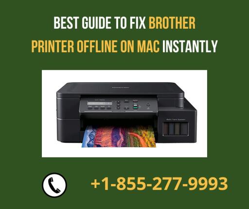 Best Guide To Fix Brother Printer Offline on Mac Instantly
